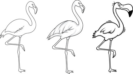 Elegant flamingo vector illustration set showing standing tropical birds in line art, realistic, and cartoon styles for creative design