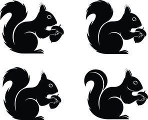 Squirrel holding acorn vector illustration set, woodland animal silhouette design, nature wildlife concept, black and white forest theme artwork