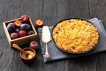 Crumb topped Plum Pie in a baking dish