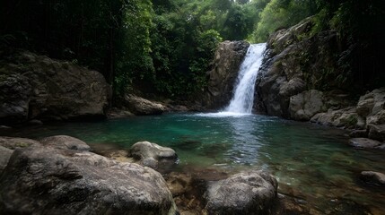 Fototapeta premium A secluded waterfall cascades into a clear turquoise pool within a dense vibrant jungle setting