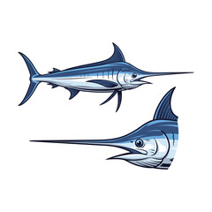 Fototapeta premium Swordfish Fullbody and Close-Up Illustration