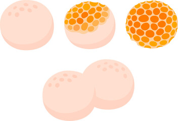 Digüeñe (Cyttaria espinosae) edible ascomycete fungus native to Chile and Argentina. Fresh and mature (orange). Simple cartoon vector illustration set.