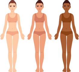 Female body template, diverse skin tones. Young women with different complexion in underwear. Vector clip art for medical infographic and fashion illustration.
