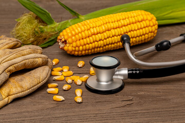 Stethoscope with leather work gloves and corn. Rural healthcare, farmer mental health and farm worker health and safety concept.