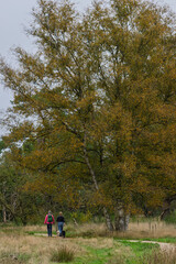 Obraz premium Landscape with two senior hikers and their dogs walking through the beautiful nature of National park Dwingelerveld in Drenthe in the Netherlands