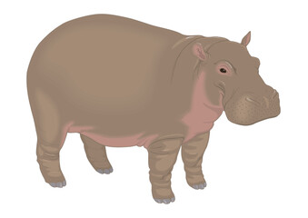 Hippo.ai