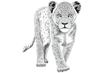 Leopard.ai
