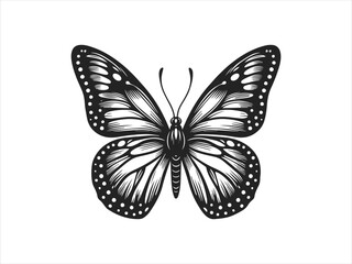 Obraz premium butterfly vector logo design