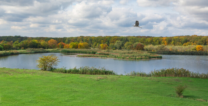 Autumn landscape on a small lake