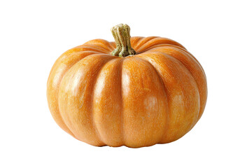Single, ripe, small pumpkin, orange hue, smooth skin, round shape