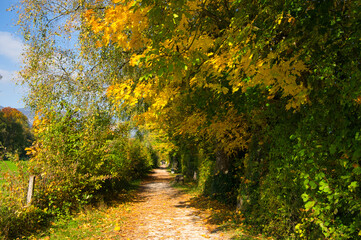 Solothurn an der Aare