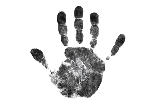 A grayscale handprint, textured and intricate