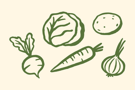 Vegetables set carrot cabbage beet onion potato minimalist sketch vector illustration