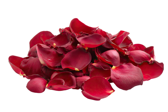 Pile of vibrant red rose petals