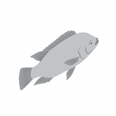 Simple Flat Illustration Tilapia Freshwater Food Animal Farming Graphic Design