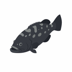 Flat Illustration Dusky Grouper Fish Ocean Animal Seafood Element