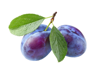 Two plump, deep purple plums with fresh green leaves