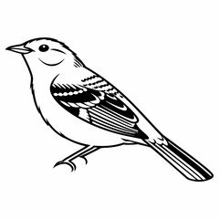 vector illustration of a bird