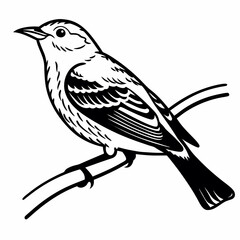 bird on a branch