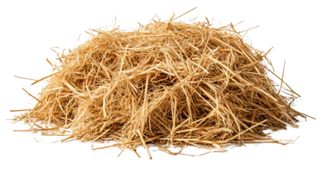 Small pile of scattered hay isolated on a transparent background. 