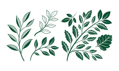 Eco green leaf icon pack for environment, sustainability, and natural product branding projects.