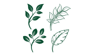 Fresh green leaf vector pack with detailed and simple leaf designs for natural-themed illustrations.