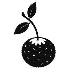 Litchi Stem Silhouette