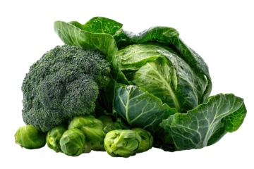 Fresh green vegetables, broccoli, cabbages and brussels sprouts, close up