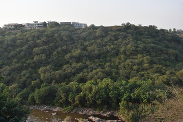 forest in the mountains
Scenic green hillside with dense forest and river stream under clear sky