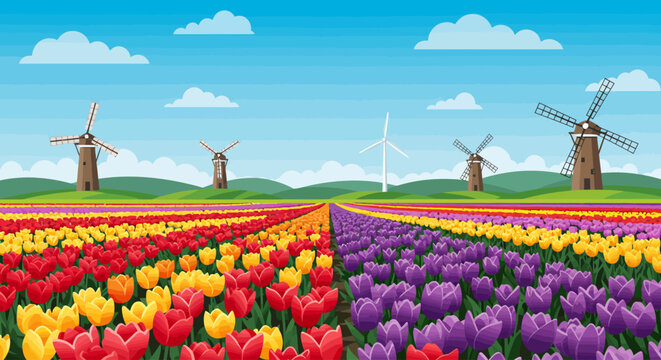 Colorful tulip fields with traditional Dutch windmills and wind turbines under a bright blue sky.