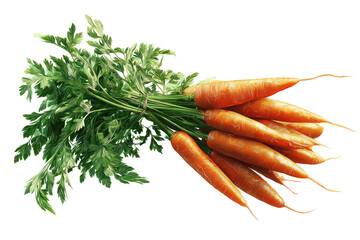 Fresh bunch of carrots with vibrant green leaves