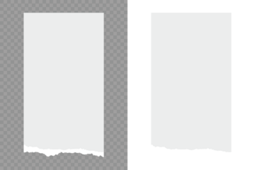 Torn sheets of paper. Scrapbook edge, notebook tear or blank page split vector illustration. Torn notebook page or scrap note with damaged border. Torn paper strips set. Sticky newspaper clip art.