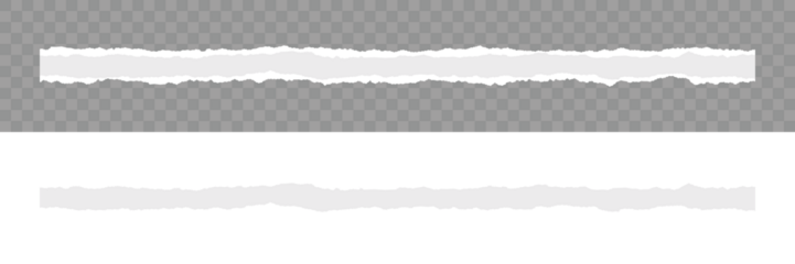 Scrapbook edge, notebook tear or blank page split vector illustration. Abstract realistic ornament or decoration clip art for social media banner background. Realistic paper scraps with torn edges.