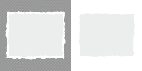 Obraz premium Torn notebook page or scrap note with damaged border. Ripped paper strips. Realistic paper scraps with torn edges. Set of torn paper sheets. Collection of torn, ripped pieces of white color paper.