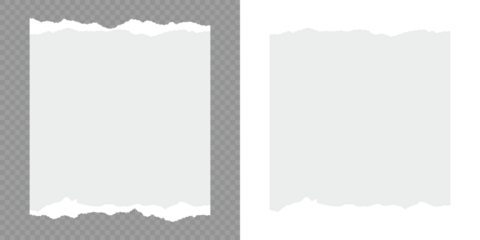 Torn notebook page or scrap note with damaged border. Scrapbook edge, notebook tear or blank page split vector illustration. Torn paper strips set.White ripped paper collection. Torn sheets of paper.