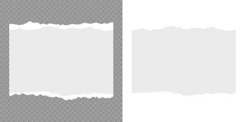 Set of torn paper sheets. Scrapbook edge, notebook tear or blank page split vector illustration. Torn paper strips set. White ripped paper strips collection. Realistic paper scraps with torn edges.