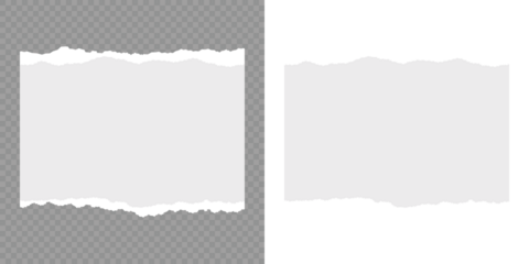 Set of torn paper sheets. Scrapbook edge, notebook tear or blank page split vector illustration. Torn paper strips set. White ripped paper strips collection. Realistic paper scraps with torn edges.