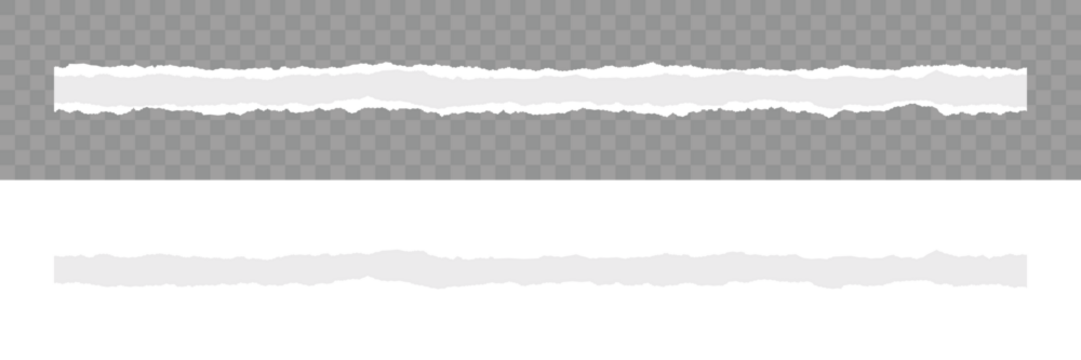 Scrapbook edge, notebook tear or blank page split vector illustration. Abstract realistic ornament or decoration clip art for social media banner background. Realistic paper scraps with torn edges.