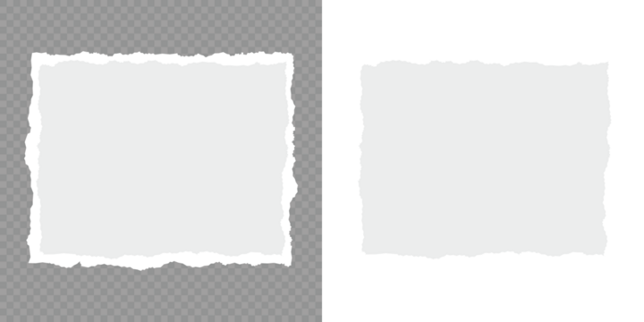 Torn notebook page or scrap note with damaged border. Ripped paper strips. Realistic paper scraps with torn edges. Set of torn paper sheets. Collection of torn, ripped pieces of white color paper.