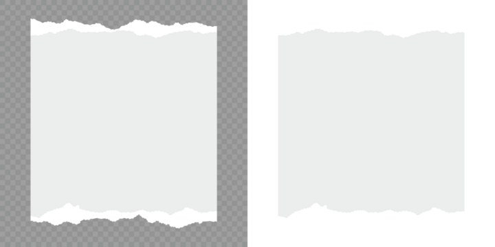 Torn notebook page or scrap note with damaged border. Scrapbook edge, notebook tear or blank page split vector illustration. Torn paper strips set.White ripped paper collection. Torn sheets of paper.