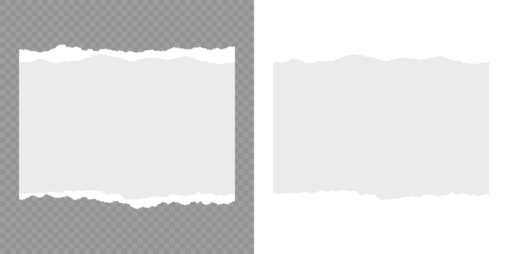 Set of torn paper sheets. Scrapbook edge, notebook tear or blank page split vector illustration. Torn paper strips set. White ripped paper strips collection. Realistic paper scraps with torn edges.