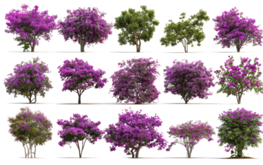 Rows of vibrant purple and green flowering trees, digitally rendered