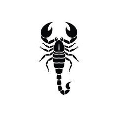Black scorpion silhouette on white background insect