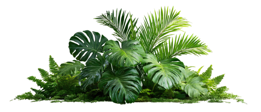 Lush tropical foliage arrangement (18)