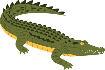 Cute green crocodile cartoon illustration, isolated on white background, flat animal character design, wildlife education, children book art concept
