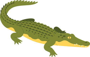 Cute green crocodile cartoon illustration, isolated on white background, flat animal character design, wildlife education, children book art concept