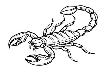Scorpion Line Art Illustration &ndash; Detailed Arachnid Outline Drawing on White Background
