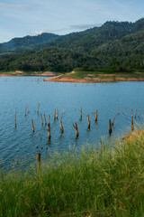 Tranquil lake with tall stumps mountainous landscape nature photography calm environment serene viewpoint