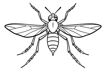 Fototapeta premium Mosquito Line Art Illustration – Detailed Insect Outline Drawing on White Background