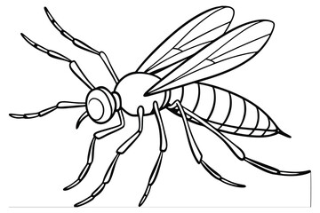 Obraz premium Mosquito Line Art Illustration – Detailed Insect Outline Drawing on White Background